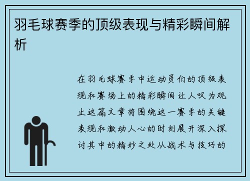 羽毛球赛季的顶级表现与精彩瞬间解析